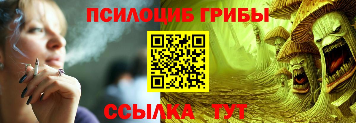 Тимашёвск  Псилоцибиновые грибы мицелий  Вход с VPN  Псилоцибиновые грибы Magic Shrooms 
